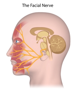 Back Pain - Acupuncture Works